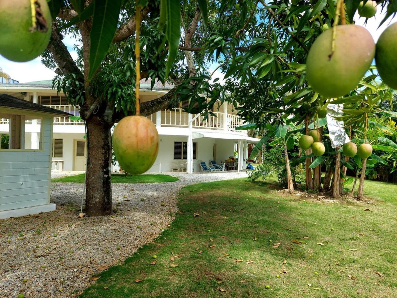 Hotel Casa Robinson Лас Терренас Экстерьер фото